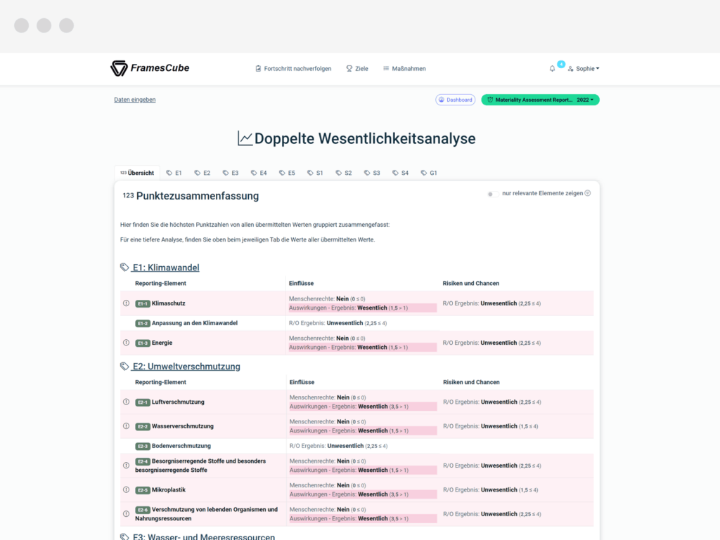 CONSUST FramesCube Doppelte Wesentlichkeitsanalyse Bewertung