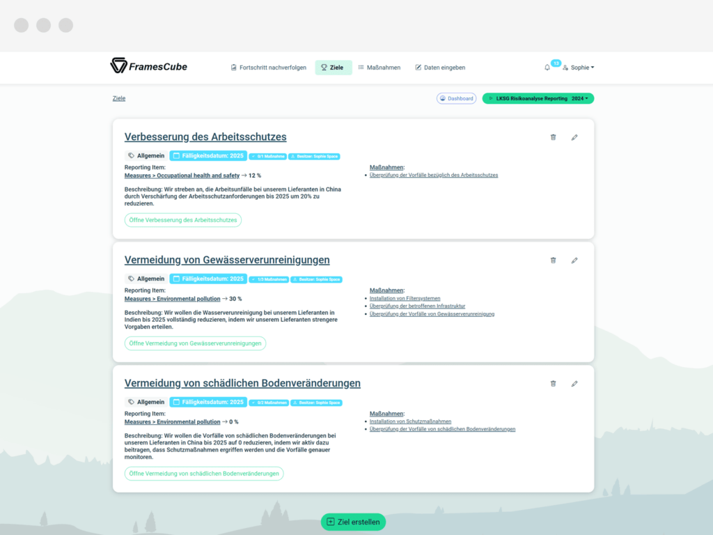 CONSUST FramesCube LKSG CSDDD Software Präventions- und Abhilfemaßnahmen