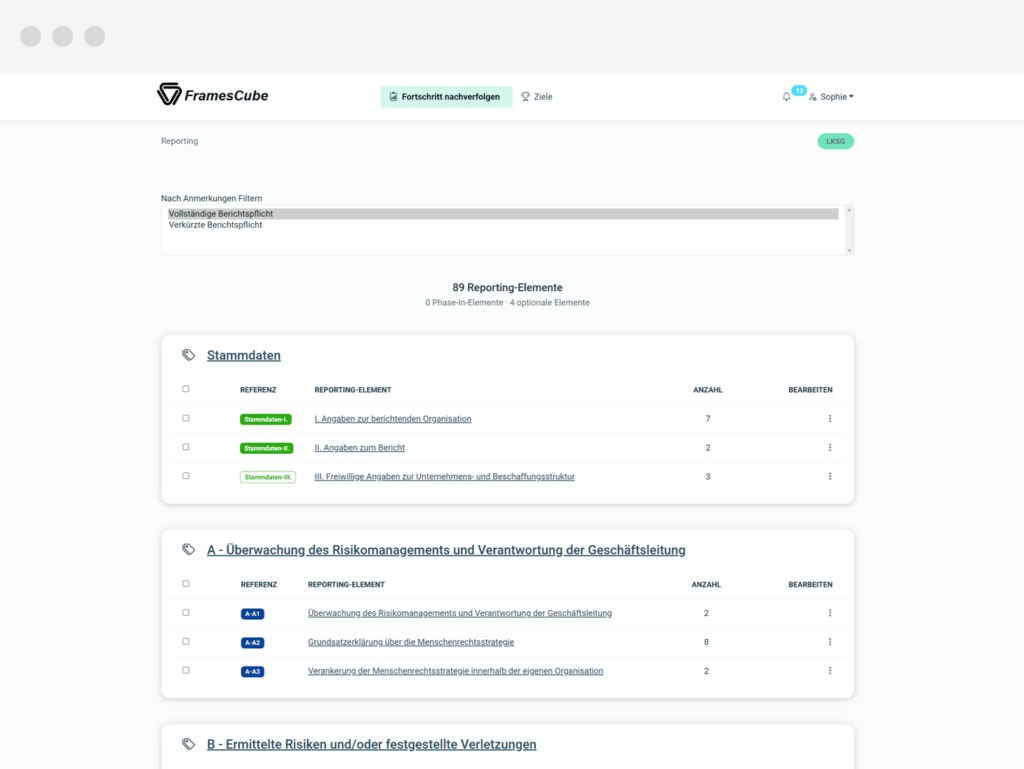 CONSUST FramesCube LKSG CSDDD Software Reportgenerierung