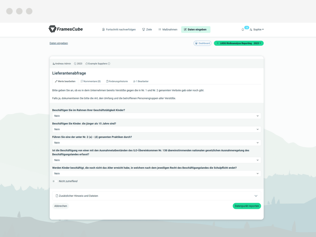 CONSUST FramesCube LKSG CSDDD Software Angemessenheitsanalyse