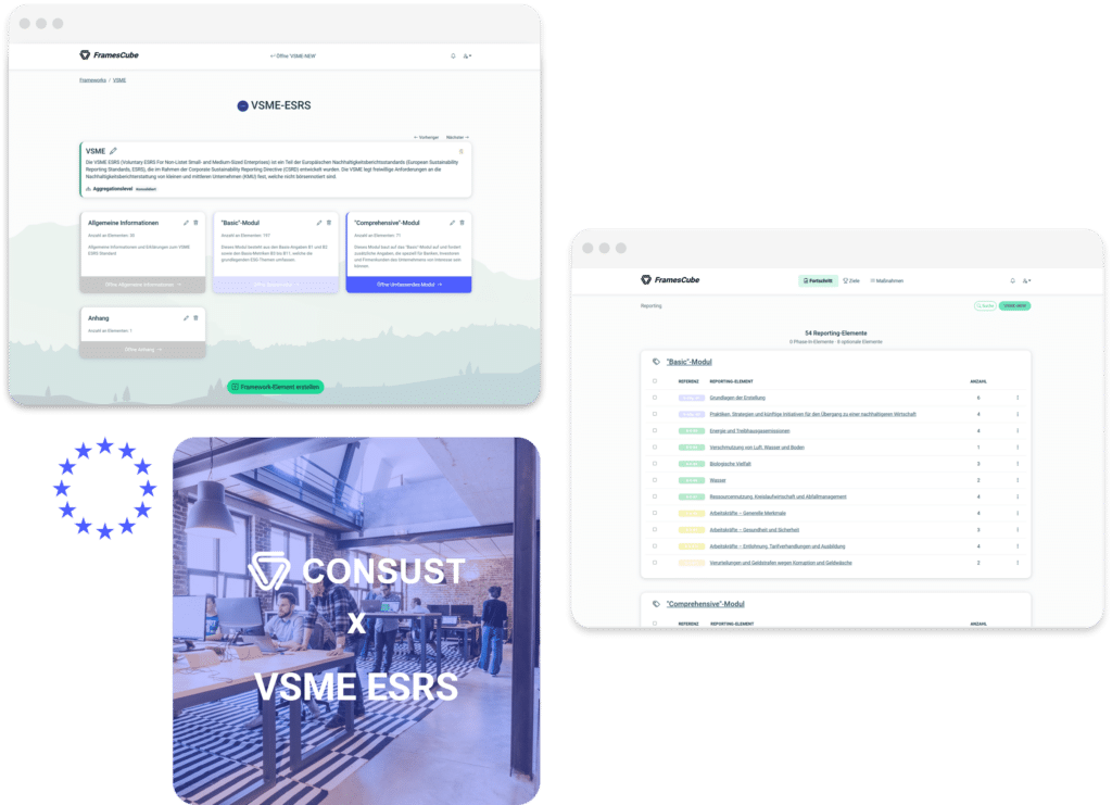 CONSUST VSME ESRS Software