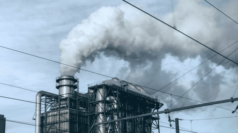 CONSUST Interner CO2-Preis Insights