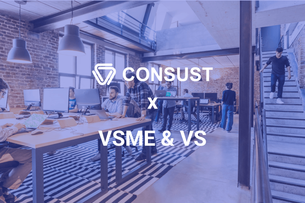 vsme vs beratung visual