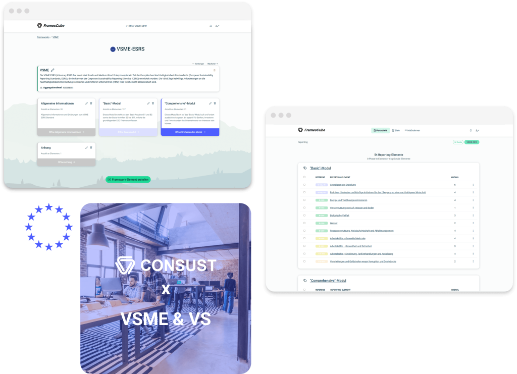 vsme vs software visual